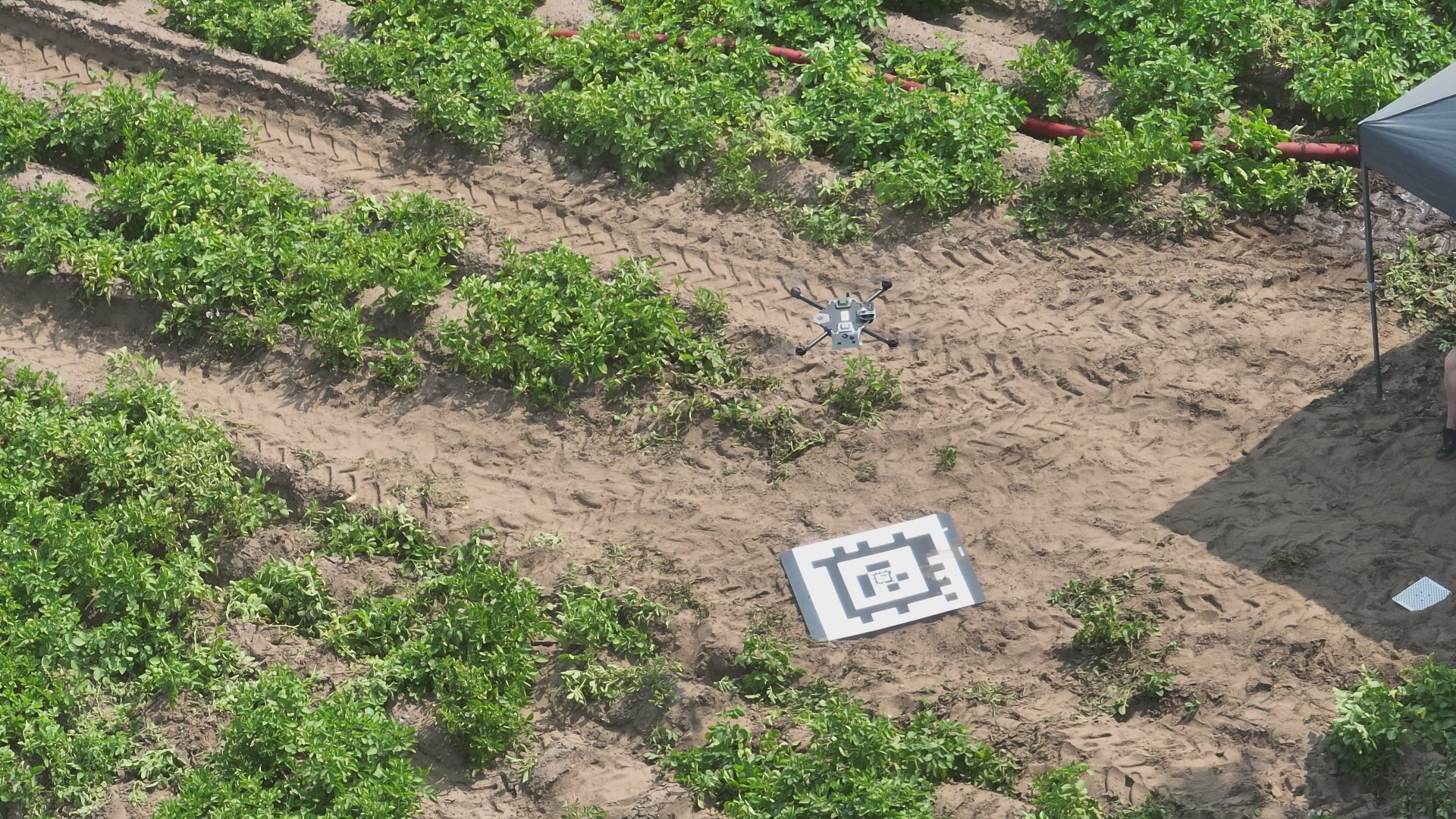 Drone boven aardappelveld met kalibratiemarker