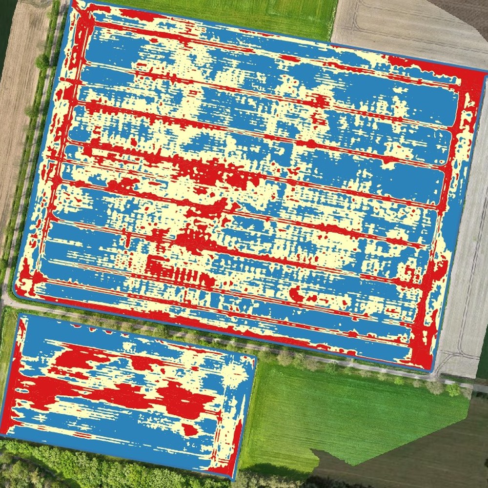 VRA-bemestingskaart van een tarweperceel, met drie zones in rood, geel en blauw.